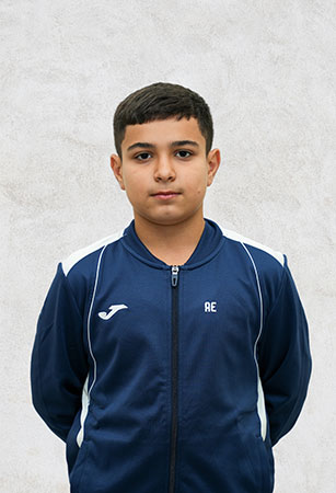 Ali Ashurlu